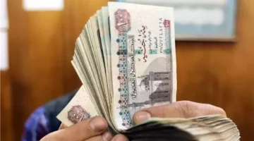 مكافأة 2000 جنيه.. جامعة القاهرة تقرر صرف مبالغ مالية للعاملين بعد الامتحانات